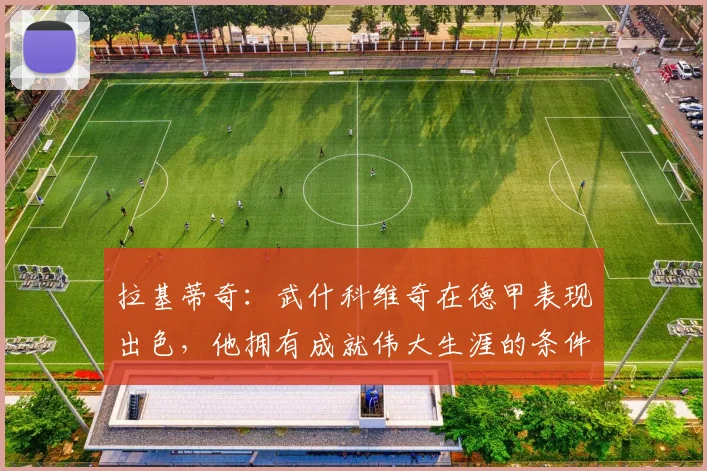 拉基蒂奇：武什科维奇在德甲表现出色，他拥有成就伟大生涯的条件